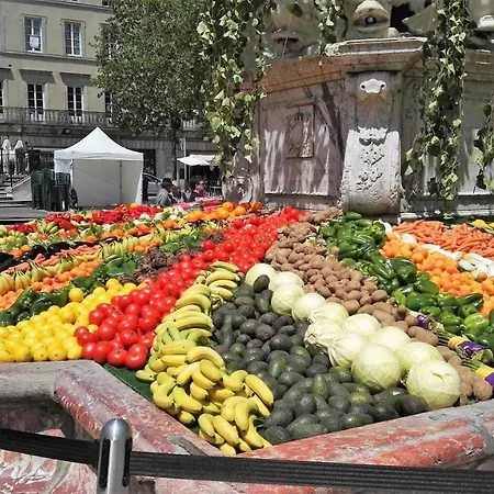 בית נופש Cosy In Carcassonne!